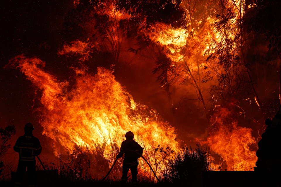 Seguros e indemnizações: saiba o que fazer caso tenha sido afetado pelos incêndios